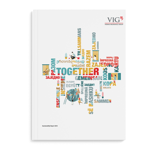 2019 VIG Sustainability Report Cover