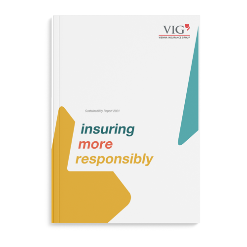 2021 VIG Sustainability Report Cover